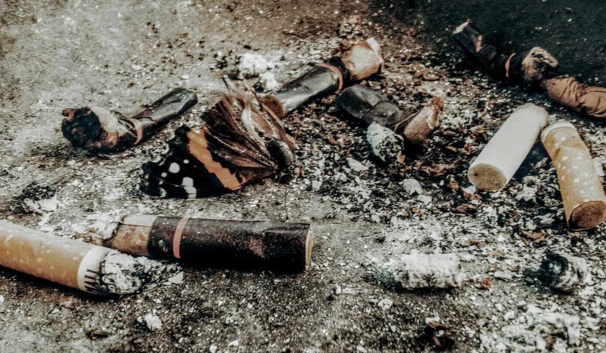 Versteuerte Zigarettenmenge 2025 leicht gestiegen, langfristiger Rückgang bleibt sichtbar